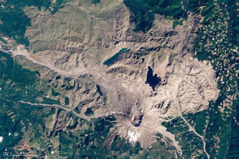 st helens mega tsunami|World of Change: Devastation and Recovery at Mt. St..